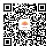 k1体育app新手怎么玩